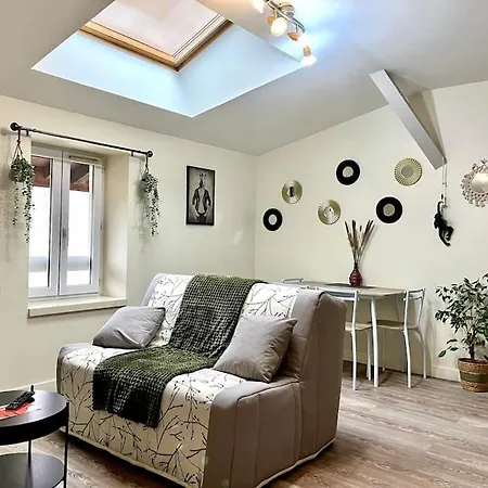 Apartman Le Repaire, Rives, 4 Pers, Calme, Lit Queen Et Bz Rives (Isere)